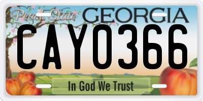 GA license plate CAY0366