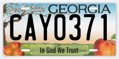 GA license plate CAY0371
