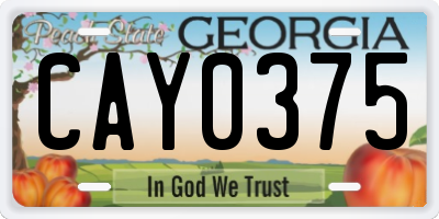 GA license plate CAY0375