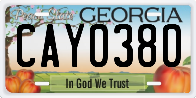 GA license plate CAY0380