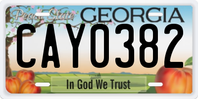 GA license plate CAY0382
