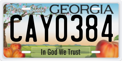 GA license plate CAY0384
