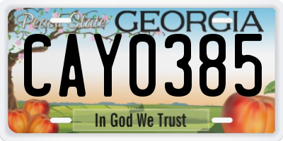 GA license plate CAY0385