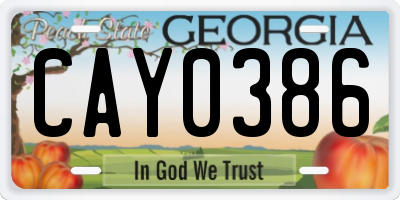 GA license plate CAY0386