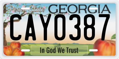 GA license plate CAY0387