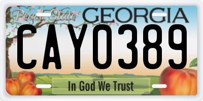 GA license plate CAY0389