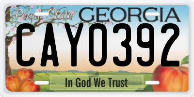 GA license plate CAY0392
