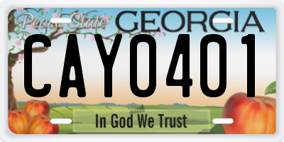 GA license plate CAY0401