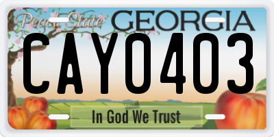 GA license plate CAY0403