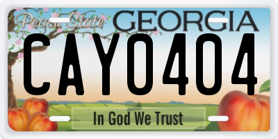 GA license plate CAY0404