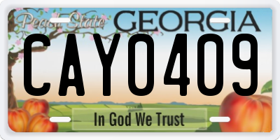 GA license plate CAY0409