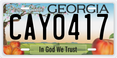 GA license plate CAY0417