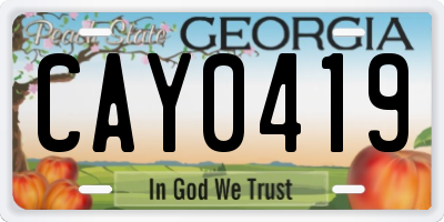 GA license plate CAY0419