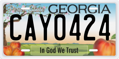 GA license plate CAY0424