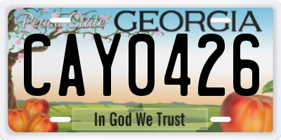 GA license plate CAY0426