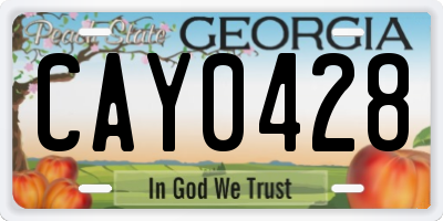 GA license plate CAY0428