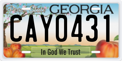 GA license plate CAY0431