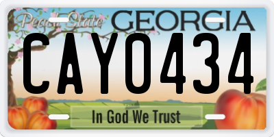 GA license plate CAY0434