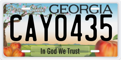 GA license plate CAY0435