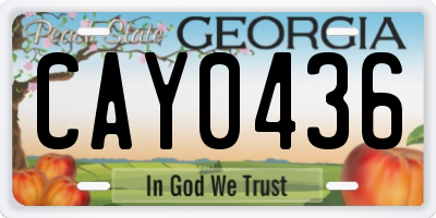 GA license plate CAY0436