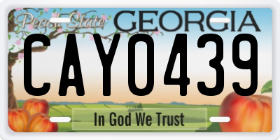 GA license plate CAY0439