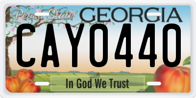 GA license plate CAY0440