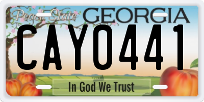 GA license plate CAY0441