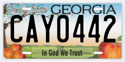 GA license plate CAY0442