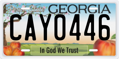 GA license plate CAY0446