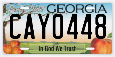 GA license plate CAY0448