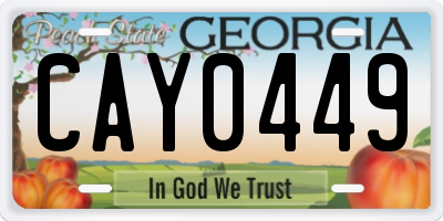 GA license plate CAY0449
