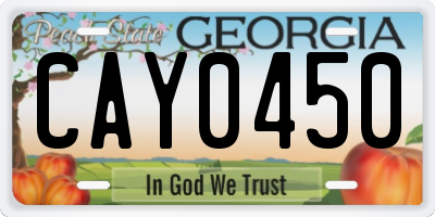 GA license plate CAY0450
