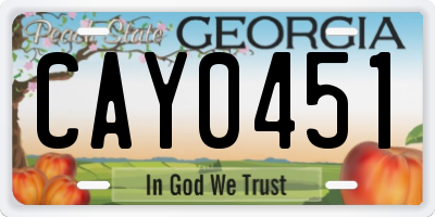 GA license plate CAY0451