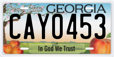 GA license plate CAY0453
