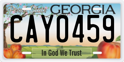 GA license plate CAY0459