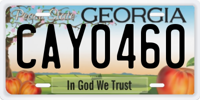 GA license plate CAY0460