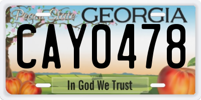 GA license plate CAY0478