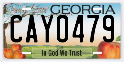 GA license plate CAY0479