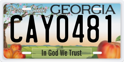 GA license plate CAY0481