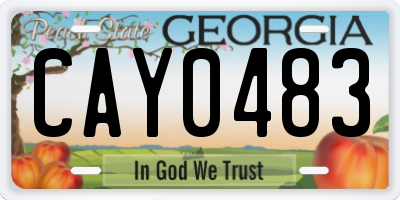 GA license plate CAY0483