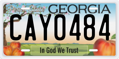 GA license plate CAY0484
