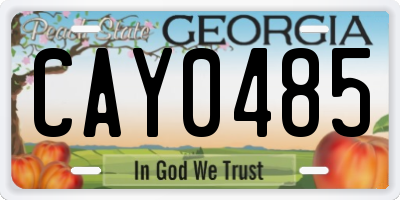 GA license plate CAY0485