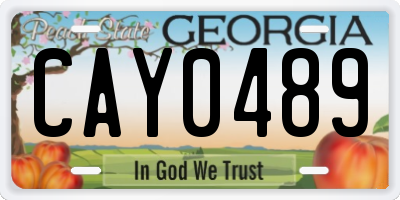 GA license plate CAY0489