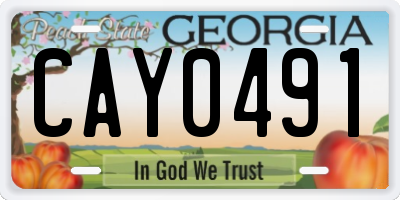GA license plate CAY0491