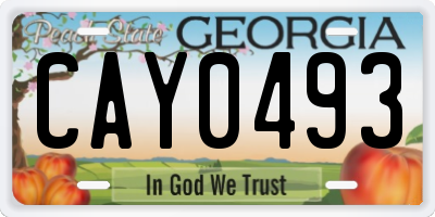 GA license plate CAY0493