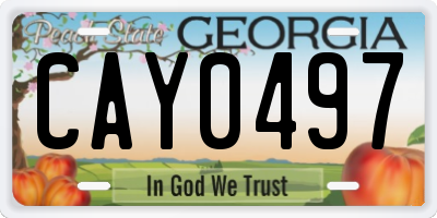 GA license plate CAY0497