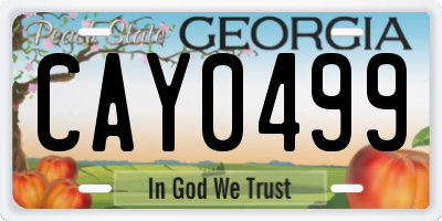 GA license plate CAY0499