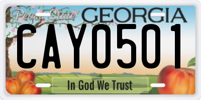 GA license plate CAY0501