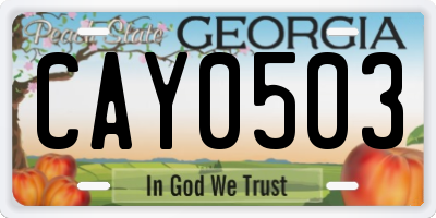 GA license plate CAY0503