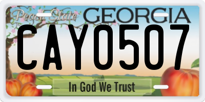 GA license plate CAY0507